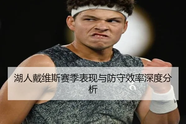 湖人戴维斯赛季表现与防守效率深度分析